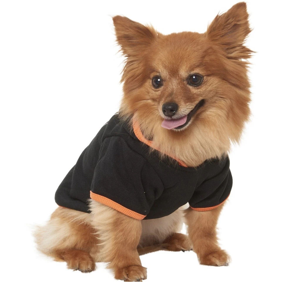 Fantasia de Halloween para Cachorro Camisa “BOO” - Tamanho XS (Extra Pequeno) Rae Dunn - Imagem 2 de 4