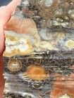 Orbicular Galaxy Rhyolite. Colorful. Nice! — photo 5