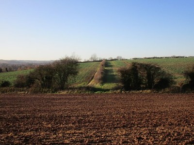 Photo 6x4 Field boundaries near Netherfield Farm Epperstone Netherfield F c2017