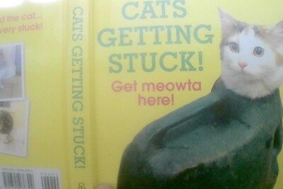 Cats Getting Stuck! (Gift) by Details, No Author. (Hardback 2017)