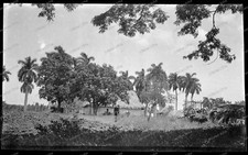 Vintage-Negative-Panama-Central America-Latin America-Building-Landscape-1920s-11
