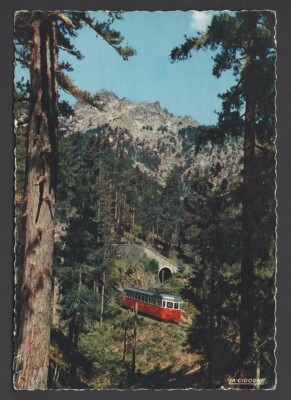 La Foret de Vizzavona Postkarte AK