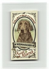 2019 Topps Allen & Ginter #CC-21 Weimaraner Collectible Canines Minis