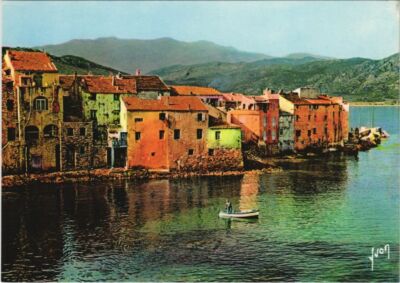 CPM Saint-Florent Village mit Wasserblume KORSIKA (1059726)