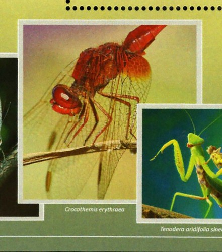 Insects Stamp Bundle of 2 Aglais Io Kallima Inachus S/S MNH #10672-10675 - Picture 12 of 13