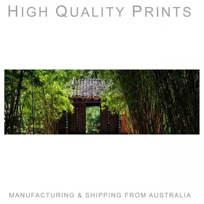 China 10MKm2 Bamboo Forest HQ Poster choose your size A4, A3, A2 , 90x60cm