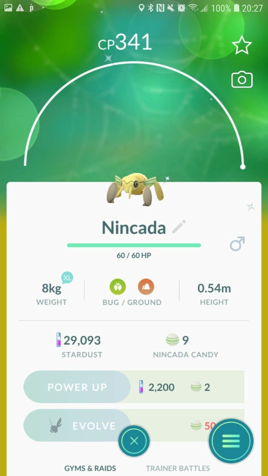 Nincada  Pokédex