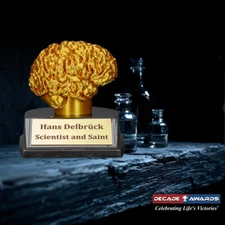 Custom Engraved Golden Brain Trophy – Trivia or Academic 3D Award - 3.5 Inch