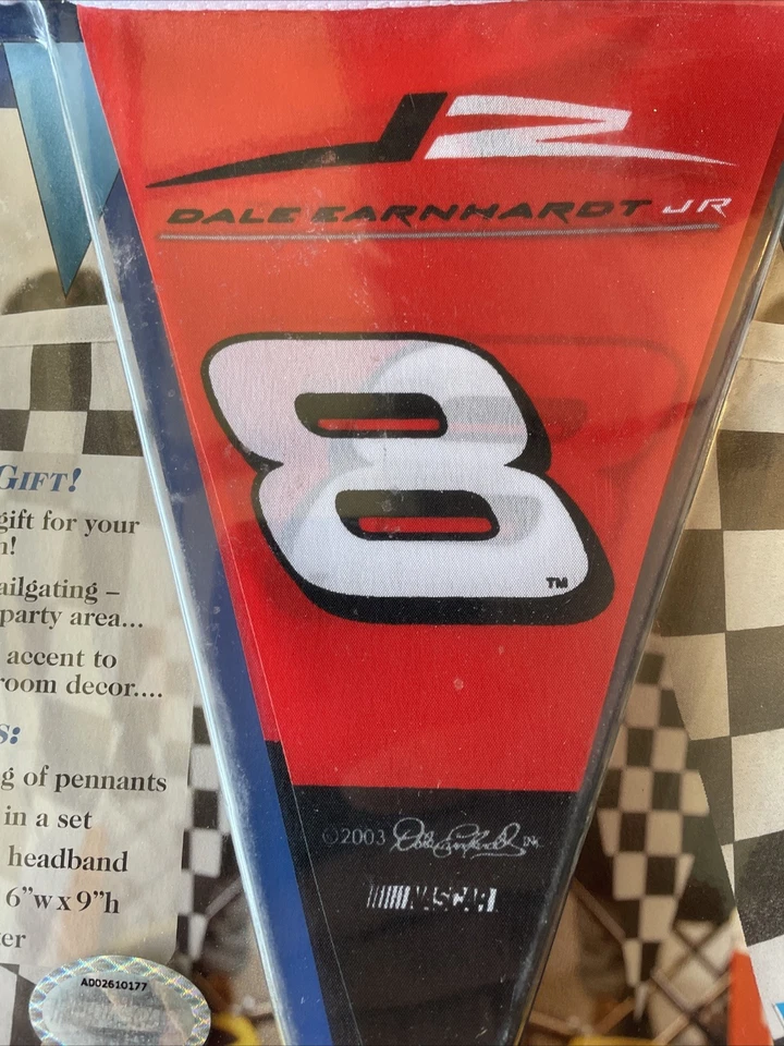 Dale Earnhardt Jr #8 25 pies de banderines de fiesta "poliéster" reutilizables nuevos Foto 3 de 3
