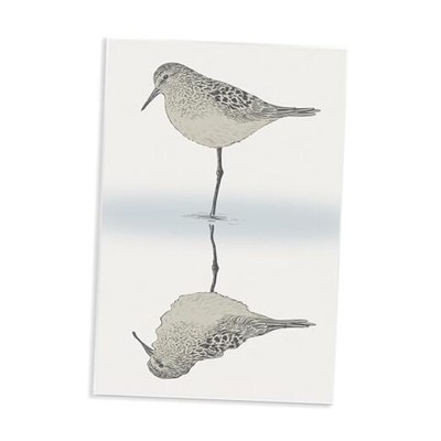  Tranquil Sandpiper Bird Reflection Shallow Beach 13L'' x 0.5W'' Wall Plaque