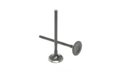 Safety Auto Parts Exhaust Valve-VIN: P, DOHC, Turbo, 24V Item #VX25-291