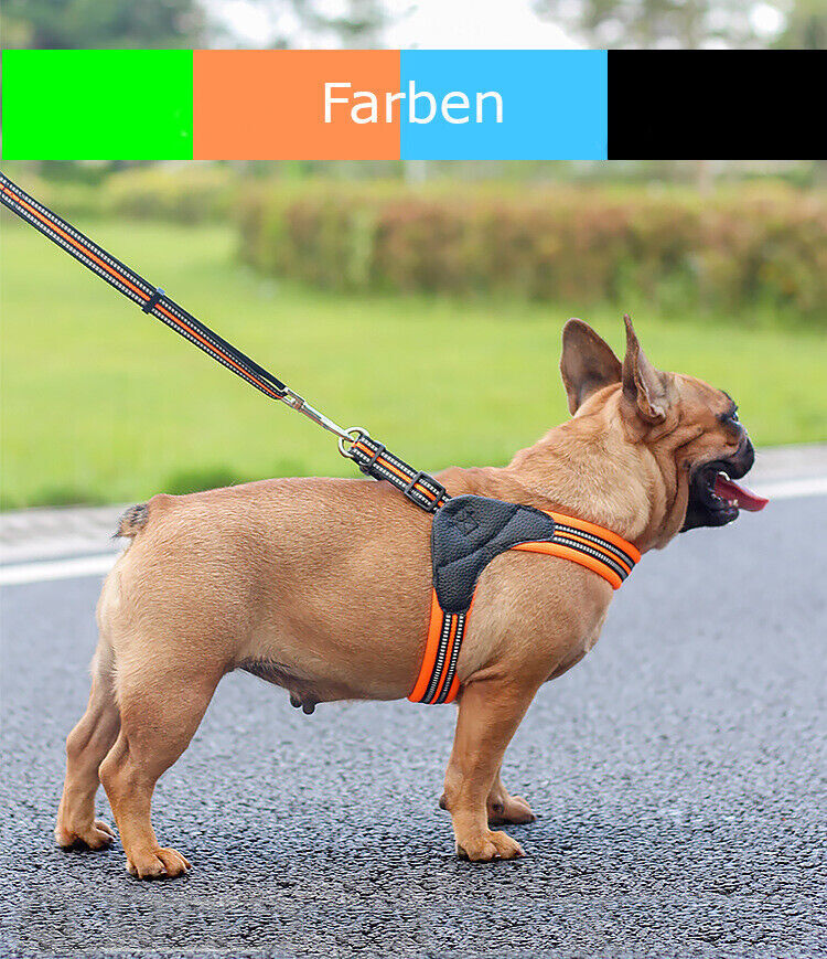 PHOEPET Hundegeschirr Für Kleine Hunde – Reflektierend, Verstellbar, Mit 2 Leinenhaken, Größe XS (blau)
