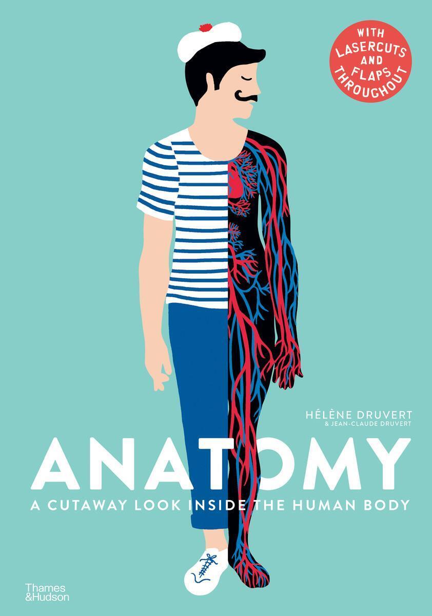 Thumbnail - Anatomy | A Cutaway Look Inside The Human Body | Hélène Druvert |