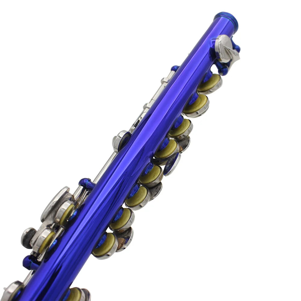 Slade Flute with Case new Great Condition Slade Flute with Case new Great Condition