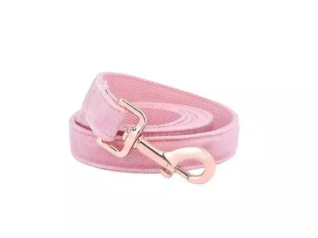 Ebay dog leads and collars top