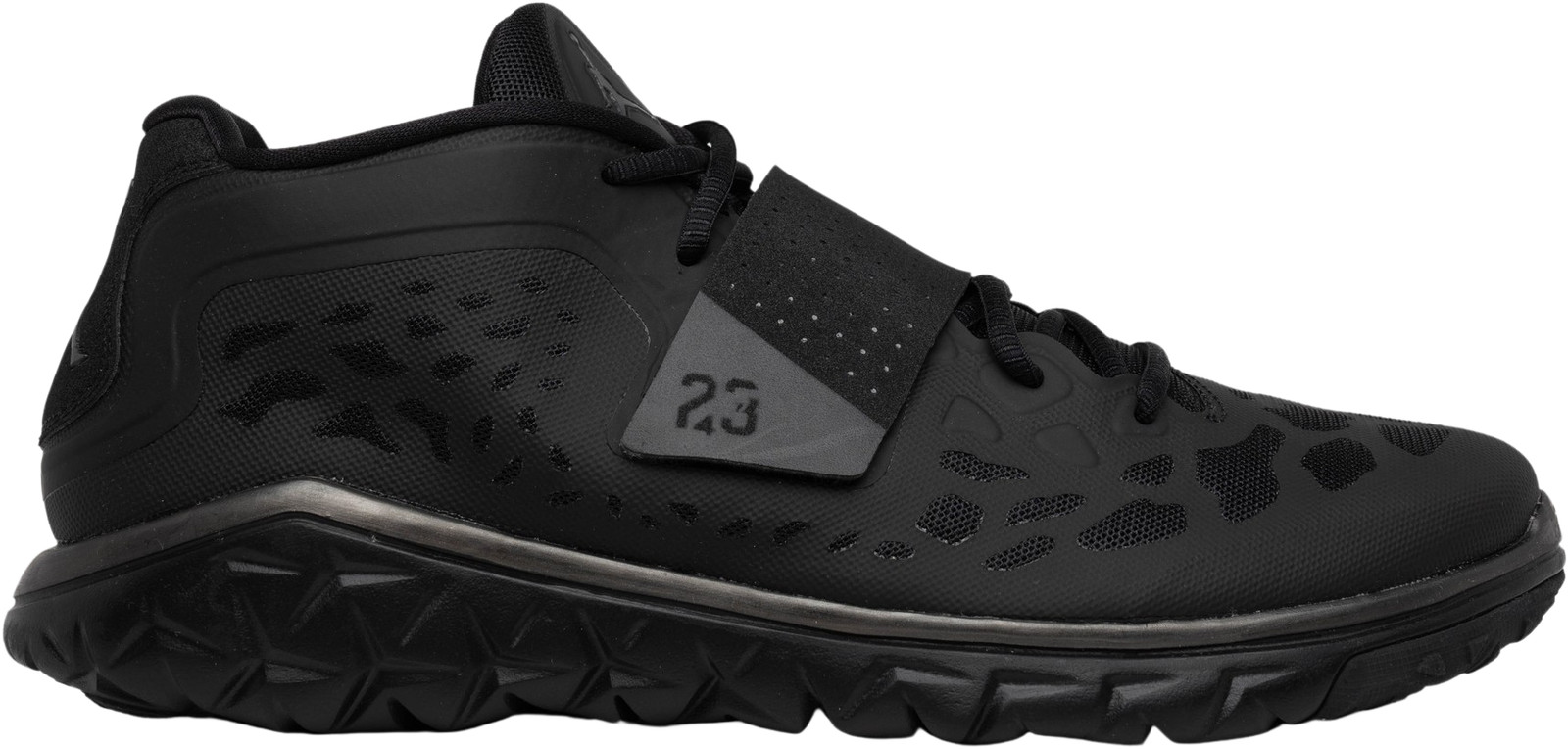 jordan flex trainer 2