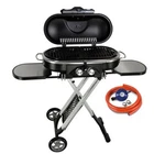 2 Burner Portable Gas BBQ Folding Camping Grill Cast Iron 