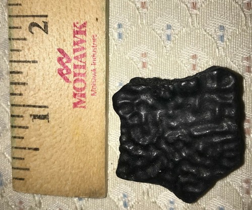 Fossilized Turtle Shell Fragment from Florida, Pleistocene Epoch (7) - Picture 3 of 3