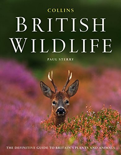 Collins British Wildlife-Paul Sterry