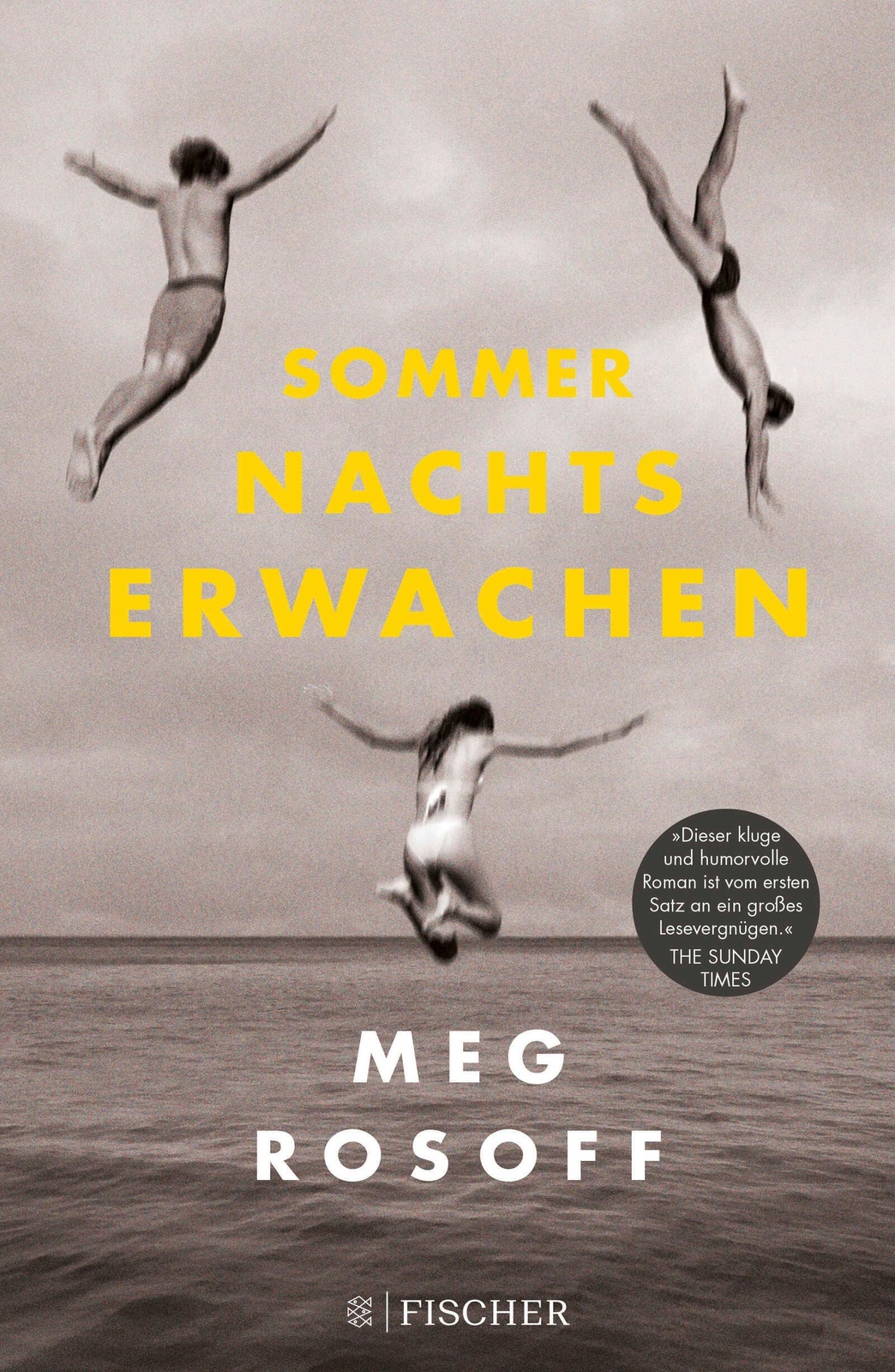 Thumbnail - Sommernachtserwachen - Meg Rosoff - 9783737342513