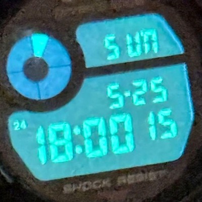 CASIO G-SHOCK FROGMAN DW-8201NT-1JR 7th Anniversary limited model