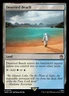 Deserted Beach NM Doctor Who MTG Magic The Gathering Land English Card