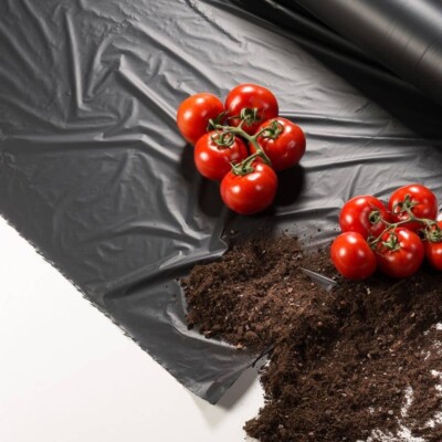 Telo Pacciamatura Biodegradabile "BASF" Largh. 100 Cm Fori Sfalsati 40 Cm 400 Mt Eiffel - Foto 12