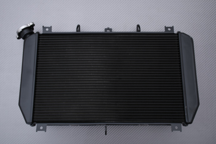 Radiateur d'eau moto Kawasaki Z900RS ZR900 2021 2022 2023 2024 pièce refroidissement