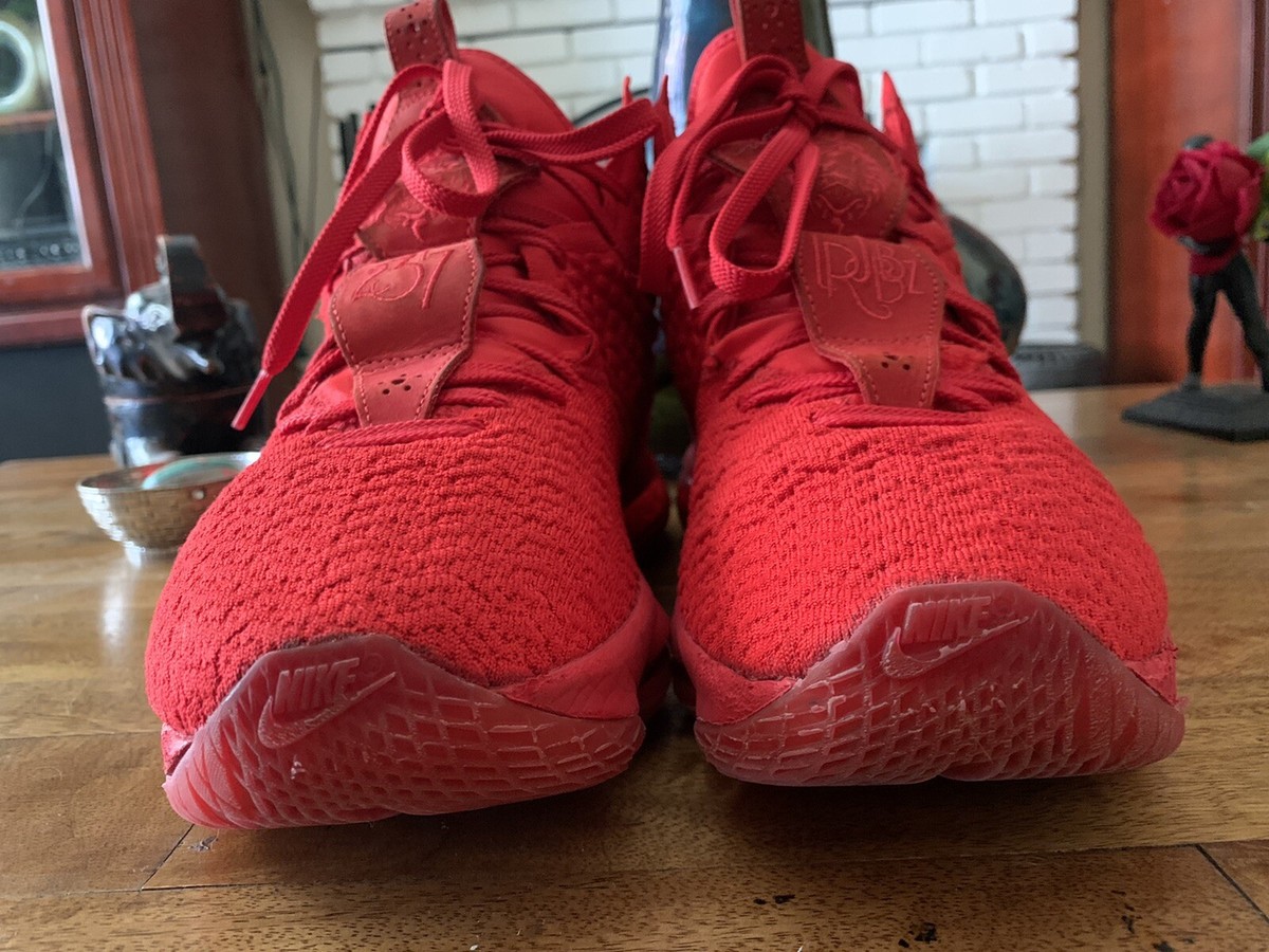 Men Size 13 Nike LeBron 17 Red Carpet | eBay Men Size 13 Nike LeBron 17 Red Carpet | eBay