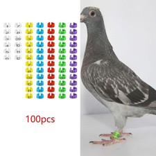100Pcs Pigeon Leg Bands Poultry Foot Rings 8mm Numbered User Friendly Readable