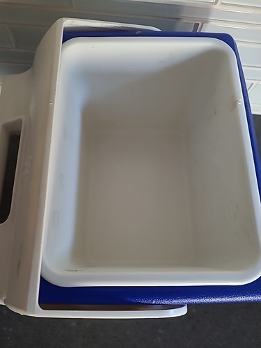 White rectangular Igloo Playmate cooler with black top and blue sides, made in USA, on a dark granite countertop.