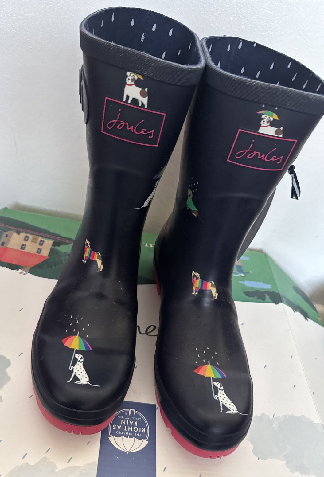 Joules Women Mid Height Welly- Navy Rainbow Dog -Adult 6 image 7