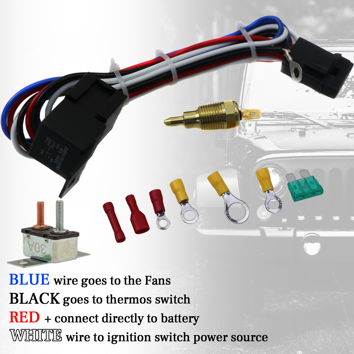 Shroud Electric Fan Relay For Dodge Ram 1500 2500 3500 Van Truck V8 1999-2003 thumbnail 6