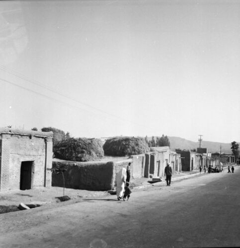 Route HAMADAN - QAZVIN c. 1960 - Maisons Rue animée - Négatif 6 x 6 - IRAN 110 - Photo 1/1