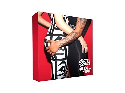 Sammelauflösung von 250 Fan Deluxe Boxen Rap, Pop, Rock, Metal, Dance, Raggae - Bild 232 von 253