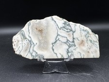 Green Tree Agate Slab with Druzy Pocket Crystal 