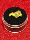 California Natural Gold Nugget  3.1  Grams in a Gem jar w/lid — photo 2