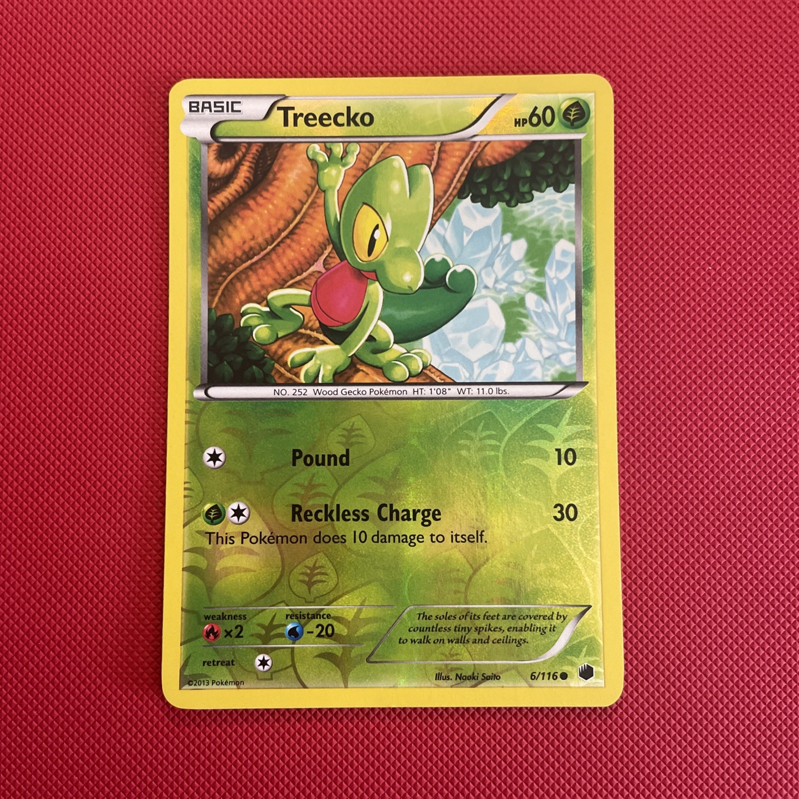 Treecko 6/116 Pokémon Plasma Freeze Reverse Holo , LP , Ships Fast!