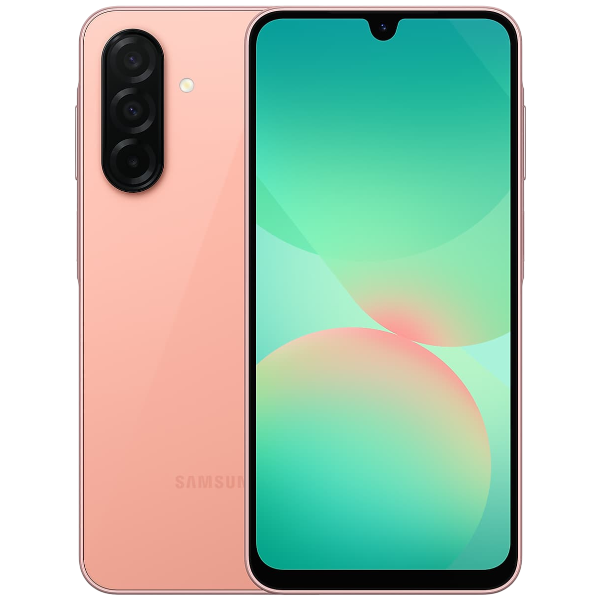 Foto 19 di 22