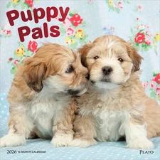 Puppy Pals | 2026 12x24" (Hanging) Monthly Square Wall Calendar