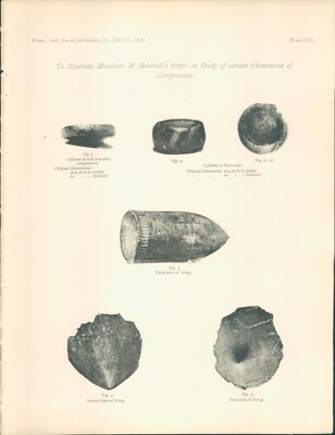 Antique Architects Print Naval Architecture Vol 32 plate 19 Projectile compressi