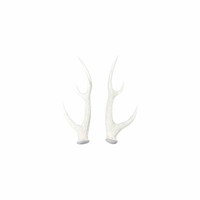 Hirschgeweih 2Er Set Ca. 13,5X12X40 Cm Weiß GläNzend Geweih Wildgeweih Wand Deko
