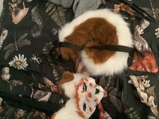 Therian Dog Mask Handmade With Tail And Bendable Ears Shiba Inu Dog Furry Mask