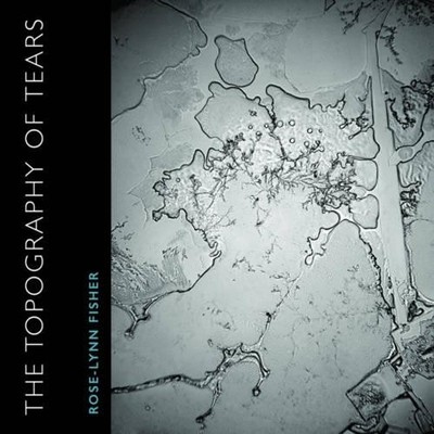 Ann Lauterbach The Topography of Tears (Taschenbuch) (US IMPORT)