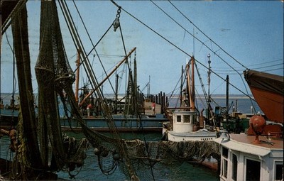 Fishing Boats Hampton Bays Long Island New York vintage postcard x224