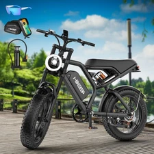 Hikeep 1500W Peak 48V 15Ah Electric Bike 20" Fat Tire Mountain e bike Bicycle
