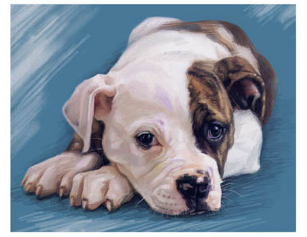artav American Bulldog Art Print on Watercolor Paper