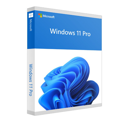 Windows 11 Professional 64 bit USB Stick Sandisk 3.0 inklusive Lizenz
