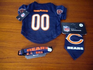 dog bears jersey