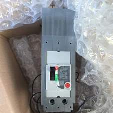 ABB GE ReliaGear NEXT TEYD2100b 2P 100 Amp AC  Circuit Breaker